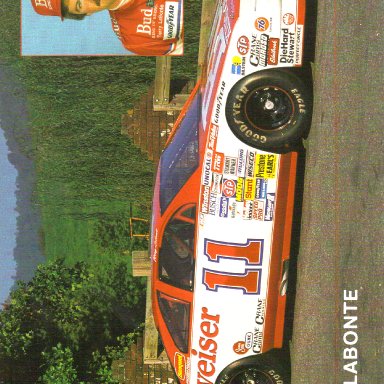 1989 #11 Terry Labonte Budweiser T-Bird