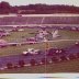 martinsville 1973