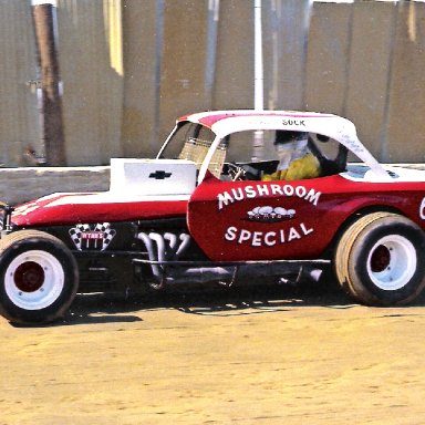 MUSHROOM SPECIAL MODIFIED