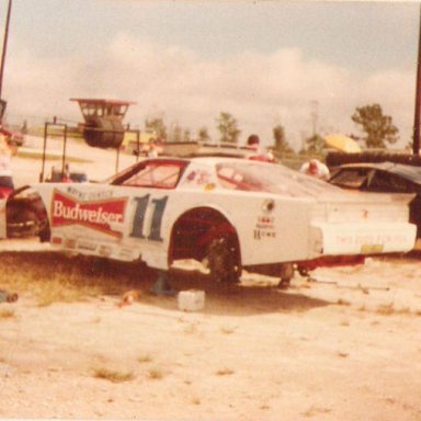 1984 David Rogers