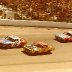 16 BOBBY ALLISON 25 JABE THOMAS 43 RICHARD PETTY 1975