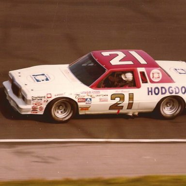 NEIL BONNETT 1982