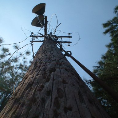 Old Light above switch/Columbia Speedway