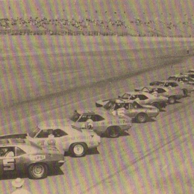 Citrus 250 Starting Grid