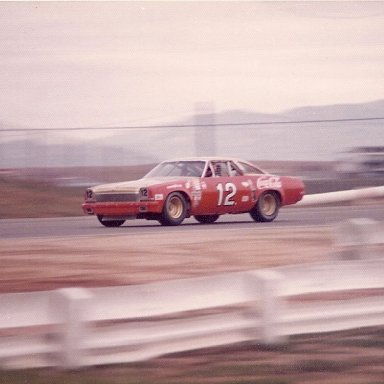 #12 Bobby Allison