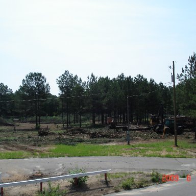 Cayce speedway 056