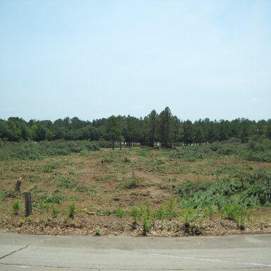 Between Turns 3 & 4, Columbia Speedway