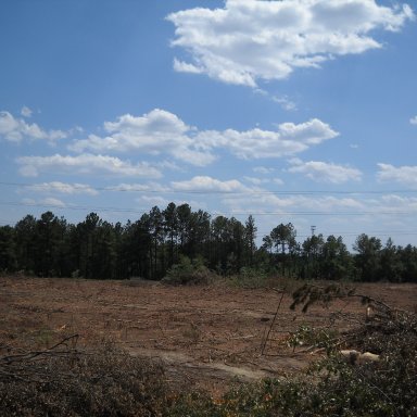 Looking out from Turn 2, June 30, 2009