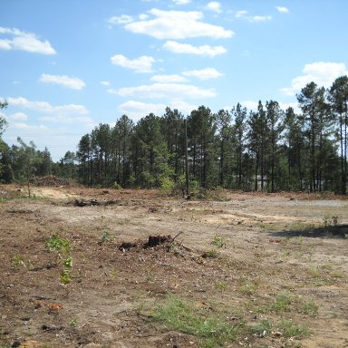 Looking toward new parking area