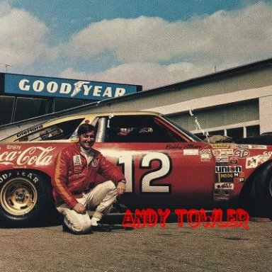Bobby Allison