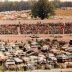 1981 Old Dominion 500 lineup