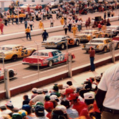 1981 Old Dominion 500 lineup 2