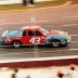 #43 1981 Old Dominion 500