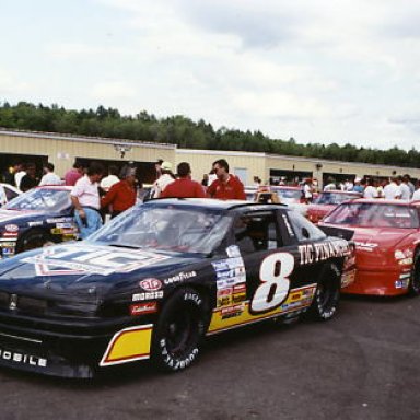 Jeff Burton-#8