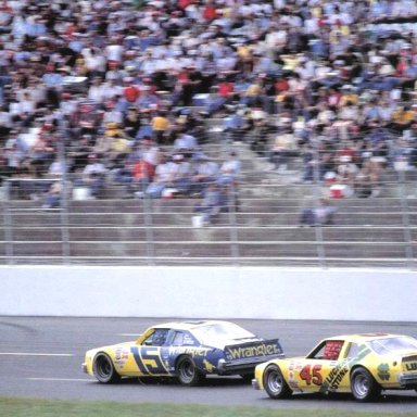 Dale Earnhardt