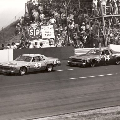 1978 Southern 500 - Richard Petty Darlington