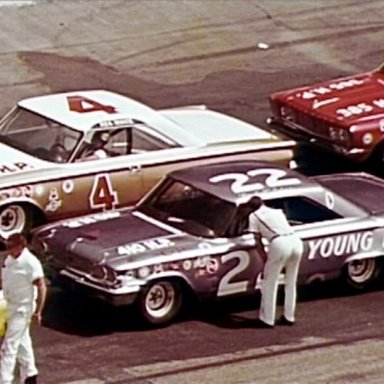 Rex White-4