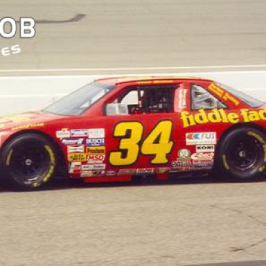 Todd Bodine