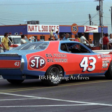 PettyCharlotte75