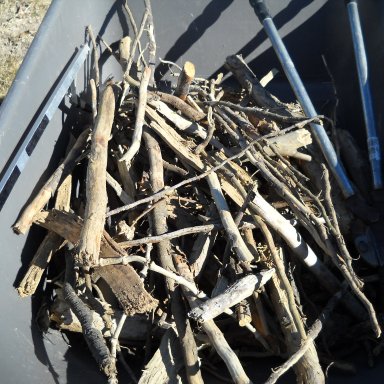 Devin's Wheelbarrow