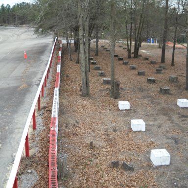 Above ground view of shade tree area.