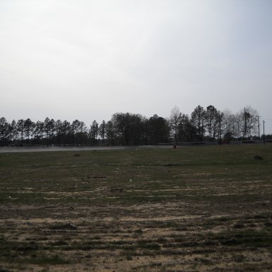 Infield Cleanup, March 24, 2009