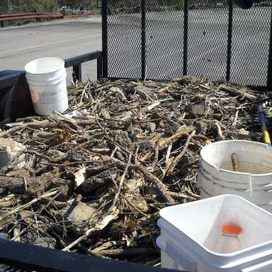 2010 Columbia Speedway Cleanup