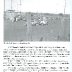 Emailing: Shrader Field-6