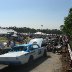 Vintage cars