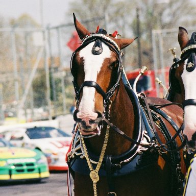 PHOTOS BY T. TAYLOR WARREN