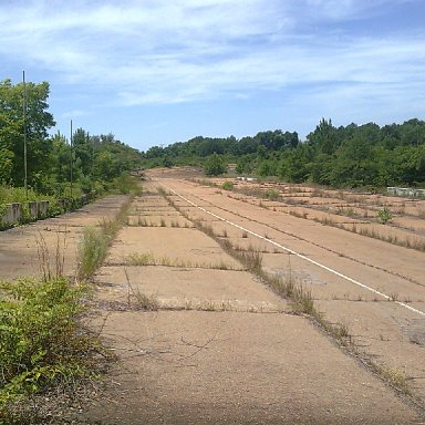LOOKING DOWN FRONT STRETCH