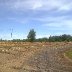 LOOKING DOWN FRONT STRETCH