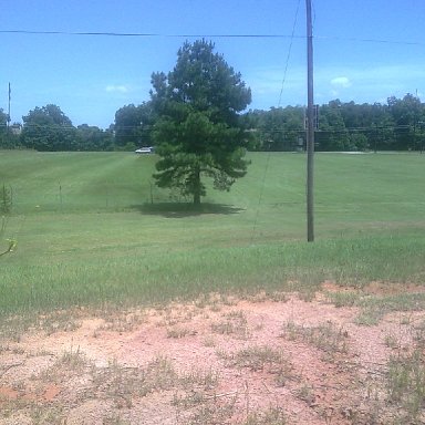 LOOKING DOWN FRONT STRETCH