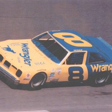 earnhardt wrangler