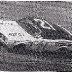 Cale  Yarborough