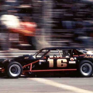16 pinto Don Cote Pic