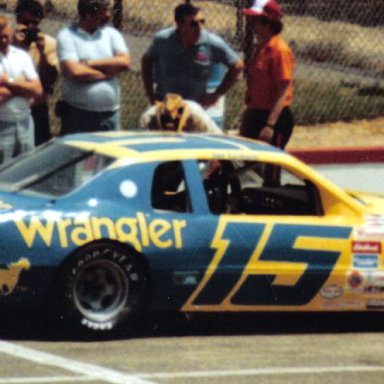 DaleEarnhardt15racecar1983