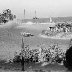 Daytona Beach 1958 Convertible Race