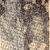 Harvey Tollison