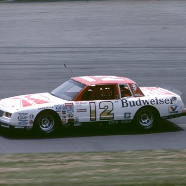 NB1985