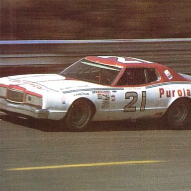 1976 David