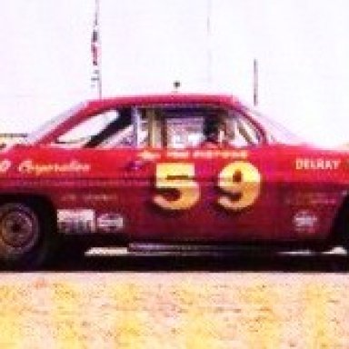 Tiger Tom Pistone