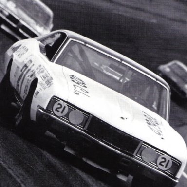 1973 David