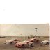 A Flock of T-birds  Queen City Speedway   1985