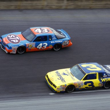 Richard Petty-Dale Earnhardt