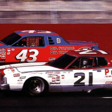 1978 Petty and Pearson