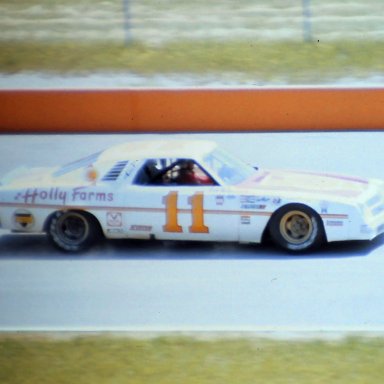 #11 Cale Yarborough 1975 Motor State 400