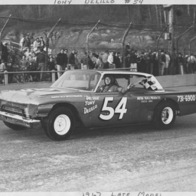 Tony Delillo  Cloverleaf