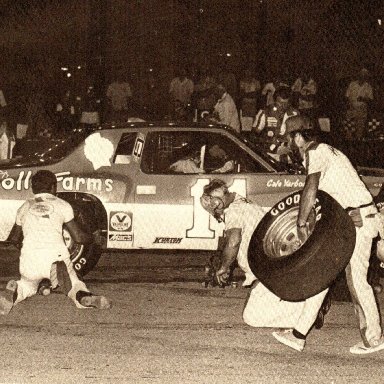 Cale Yarborough