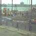 IMSA #56 Craig Carter #12 Tommy Riggens 1983 Kelly American Challange @ Detroit Grand Prix